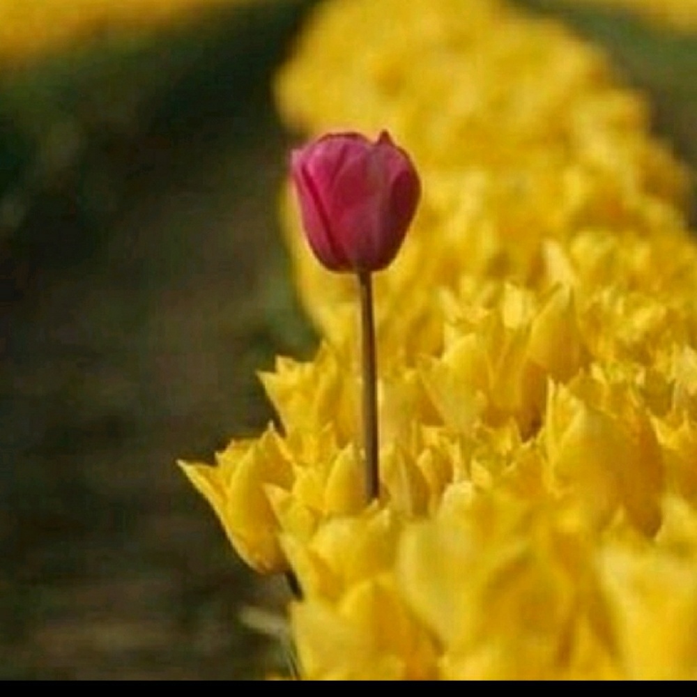 Beautiful.... - image 4